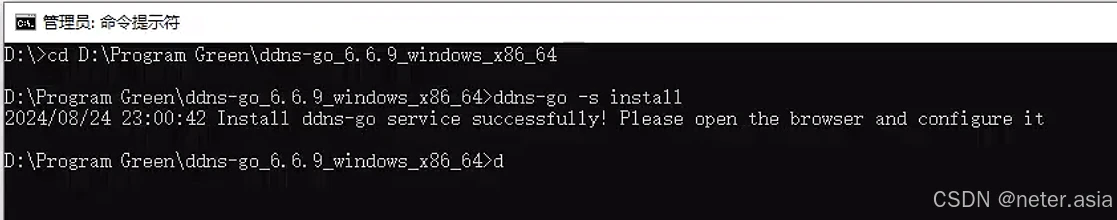 Windows环境下DDNS GO的安装与使用