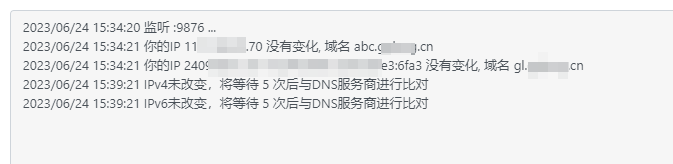 Windows环境下DDNS GO的安装与使用